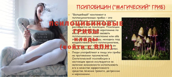 каннабис Бородино