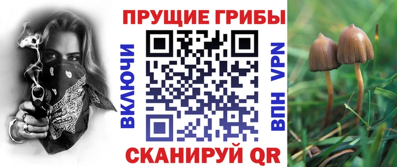 Галлюциногенные грибы Psilocybine cubensis  Сочи 